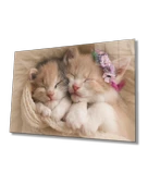 Kediler Dekoratif ve Modern Cam Tablo   Cats Table - 1