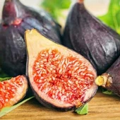 Tüplü Saksıda Yetiştiriciliğe Uygun Ficus carica Ronde de Bordeaux İncir Fidanı thumbnail 2