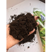 Menekşe Özel İthal Torf 10 litre - 2