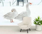 Kar ve Kaz Manzaralı Duvar Kağıdı thumbnail 13