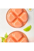 Yenigeldi Bispol Tropik Meyve Kokulu Wax Melts Buhurdanlık Kokusu Oda Kokusu - 1