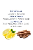 FİRST CLASS KOFRE - EDT 100 ML + DEODORANT 150 ML - 3