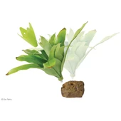 Exo Terra Teraryum İçin Plastik Bitki - 2