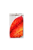 Avessa Dijital Baskılı Turuncu Desenli Bez Bone BB10-4 - 1