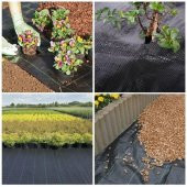1X100 METRE SULZER KUMAŞ TABAN ÖRTÜSÜ JÜT BLUEBERRY PEYZAJ UYGULAMA ÖRTÜSÜ MULCH NAYLONU - 2