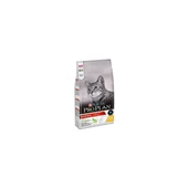 Pro Plan Adult Tavuklu Yetişkin Kedi Maması 10 kg - 1