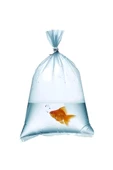 Tiri Store Naylon Torba 50x90 cm 1 kg - 3