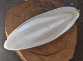 Kalamar kemiği 25 cm dev boy - 1