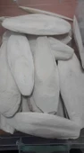 Kalamar kemiği 15-20 cm - 2