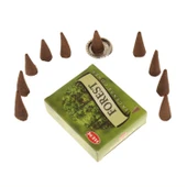 FOREST - ORMAN - CONES TÜTSÜ - 1