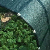 SeraTrend 27'lik Maşon Klips (100 Adetli) SERA NAYLONU MAŞON KLİPS SERA NAYLONU TUTTURUCU thumbnail 2