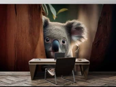 Koala Temalı Duvar Kağıdı - 4