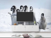 Kutuplar ve Yavru Penguen Manzaralı Duvar Kağıdı - 3