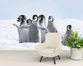 Kutuplar ve Yavru Penguen Manzaralı Duvar Kağıdı - 6