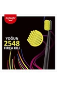 Colgate Diş Fırçası Neo 2548 Bristles Kıllı Orta - 2