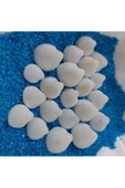 Kuzeylina Hesaplı 1-3 cm Küçük Deniz Kabuğu 1kg Teraryum Deniz Kabukları Silis Akvaryum Süs Ufak Kabuklar - 2
