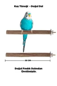 Kuzeylina Doğal Ahşap Kuş Tüneği 20 Cm - Gerçek Fındık Dalı - 1
