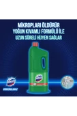 Domestos 1989 GR DAĞ ESİNTİSİ - 3