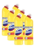 Domestos Limon Ferahlığı Çamaşır Suyu 750 ml , 6 adet - 1