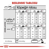 Royal Canin Mini Exigent Yetişkin Köpek Maması 3 Kg thumbnail 5