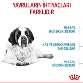 Royal Canin Giant Junior Dev Irk Yavru Köpek Mamasi 15 Kg - 2