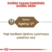 Royal Canin Ageing +12 (12 Yaş Ve Üzeri) Yaşlı Kedi Maması 2 Kg - 2