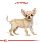 Royal Canin Chihuahua Puppy Yavru Köpek Maması 1,5 Kg thumbnail 7