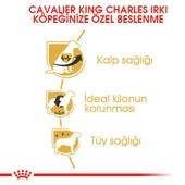 Royal Canin Cavalier King Charles Yetişkin Köpek Mamasi 1,5 Kg thumbnail 2