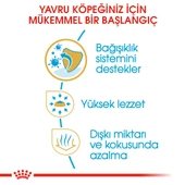 Royal Canin Chihuahua Puppy Yavru Köpek Maması 1,5 Kg thumbnail 2