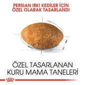 Royal Canin Persian 30 Iran Kedilerine Özel Yetişkin Kedi Mamasi 10 Kg thumbnail 2