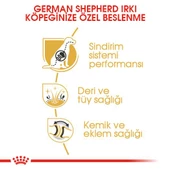 Royal Canin German Shepherd Adult Alman Kurduna Özel Yetişkin Köpek Mamasi 11 Kg thumbnail 3