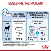 Royal Canin Mini Puppy Küçük Irk Yavru Köpek Maması 2 Kg - 5