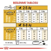 Royal Canin Chihuahua Puppy Yavru Köpek Maması 1,5 Kg thumbnail 6