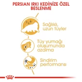 Royal Canin Persian 30 Iran Kedilerine Özel Yetişkin Kedi Mamasi 10 Kg thumbnail 3