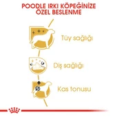Royal Canin Poodle Adult Yetişkin Köpek Maması 3 Kg thumbnail 5