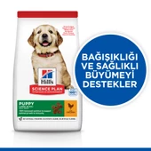 Hill's SCIENCE PLAN Büyük Irk Tavuklu Yavru Köpek Maması 14.5 kg thumbnail 2