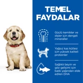 Hill's SCIENCE PLAN Büyük Irk Tavuklu Yavru Köpek Maması 14.5 kg thumbnail 4