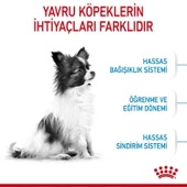 Royal Canin Xsmall Puppy Mini Irk Yavru Köpek Maması 3 Kg - 2