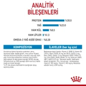 Royal Canin Mini Starter Yavru Köpek Maması 4 KG - 4