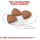 Royal Canin Mini Indoor Yetişkin Köpek Maması 1.5 KG - 3