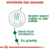 Royal Canin Mini Indoor Yetişkin Köpek Maması 1.5 KG - 2