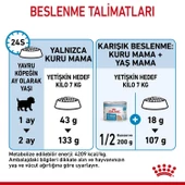 Royal Canin Mini Starter Yavru Köpek Maması 4 KG - 5