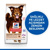 Hill's SCIENCE PLAN Gurme Lezzet Yetişkin Orta Irk Ördek ve Patatesli Köpek Maması 14 kg thumbnail 5