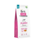 Brit Care Skin & Coat Tahılısz Somonlu Yavru Köpek Maması 12 Kg - 1