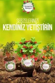 Konserve Bahçem Evde Konservede Kekik Dağ Kekiği Yetiştirme Kiti - 3