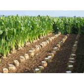 20 KG ŞİLEMPE - 3