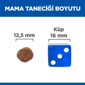 Hill's SCIENCE PLAN Hipoalerjenik Yetişkin Orta Irk Somonlu Köpek Maması 10 kg + 2 kg thumbnail 5