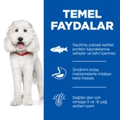 Hill's SCIENCE PLAN Hipoalerjenik Yetişkin Orta Irk Somonlu Köpek Maması 10 kg + 2 kg thumbnail 3