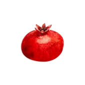 Schafer Home New Year Fruit Supla 1 Parça-Kırmızı - 1