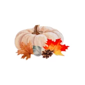 Schafer Home Pumpkin Supla 1 Parça-Turuncu - 2